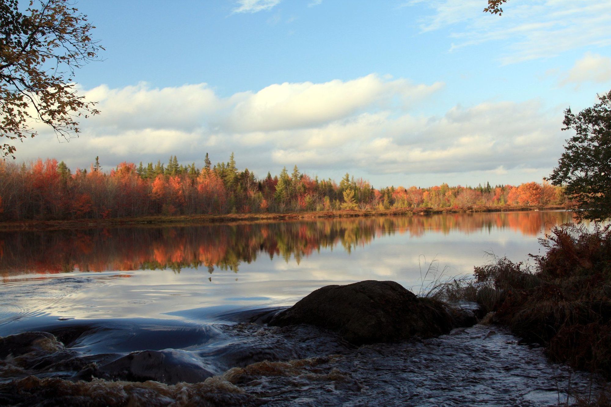 Trout Point Lodge Of Nova Scotia East Kemptville Facilități foto