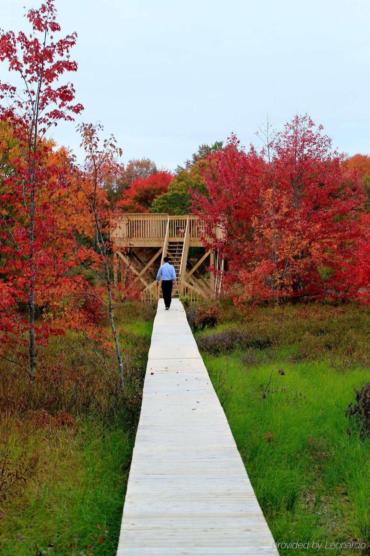 Trout Point Lodge Of Nova Scotia East Kemptville Exterior foto